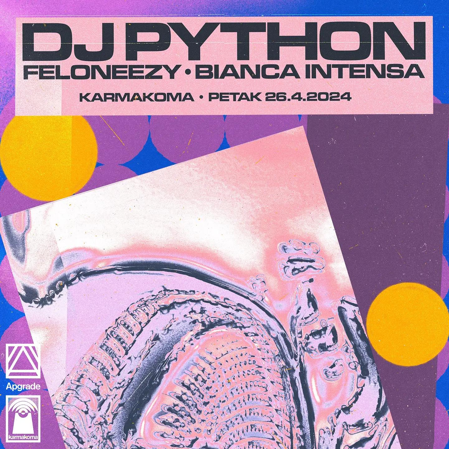 Slika za Apgrade: DJ Python (USA)