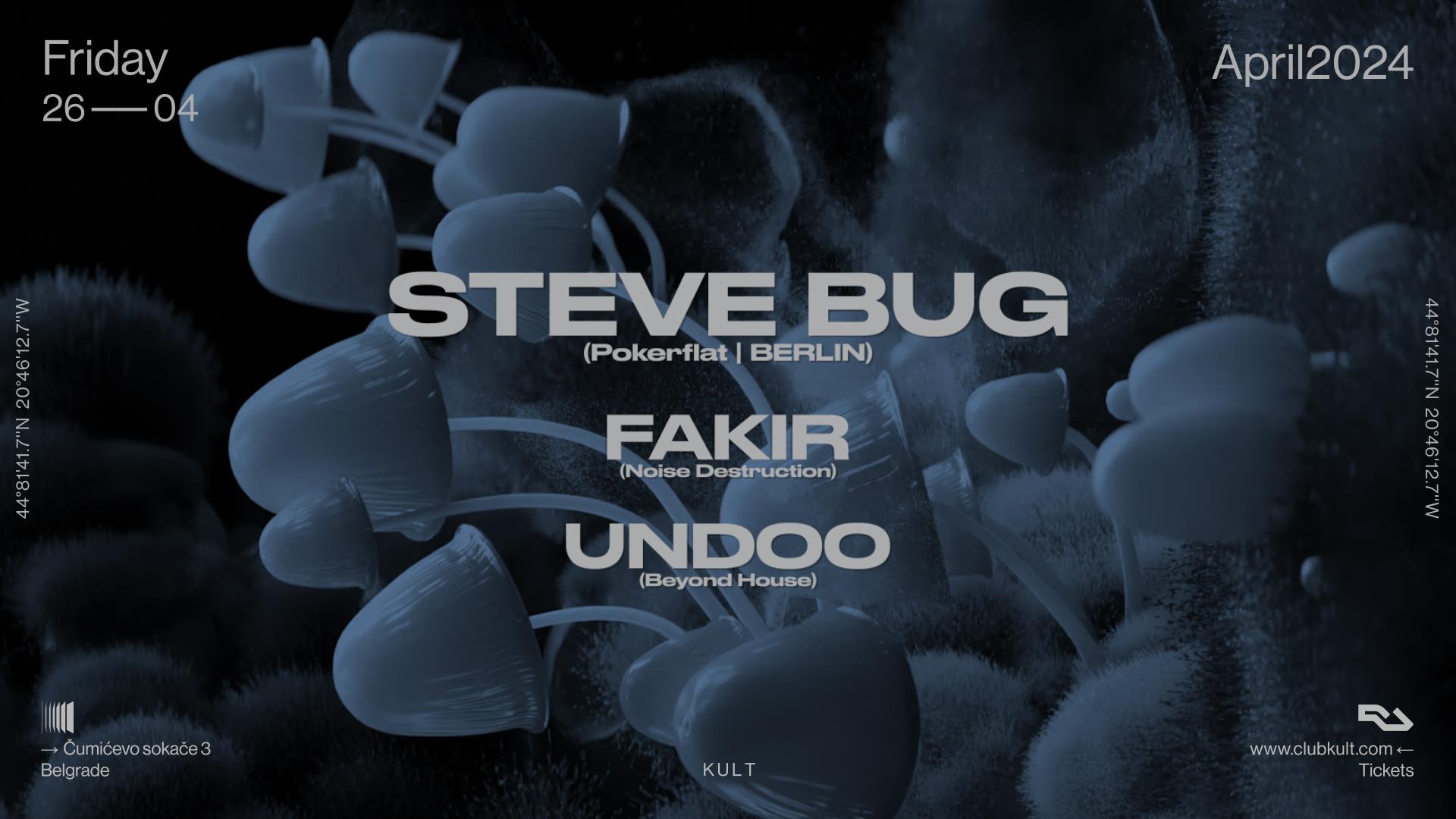 Flajer za Steve Bug (GER)