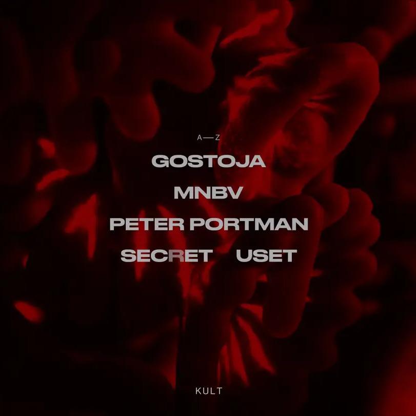 Slika za Peter Portman :: MNBV :: Secret Guset :: Gostoja