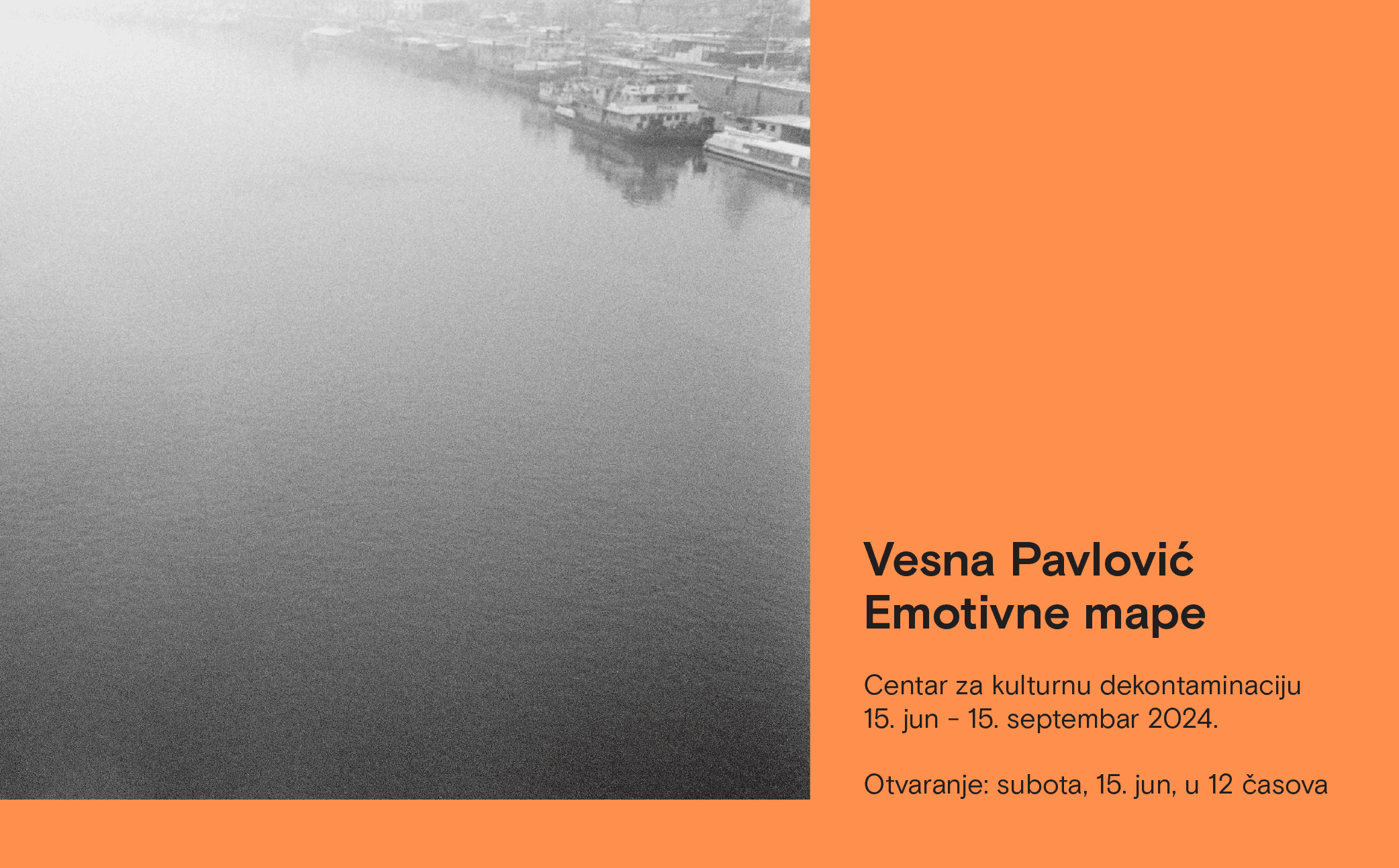 Slika za Emotivne mape: Vesna Pavlović