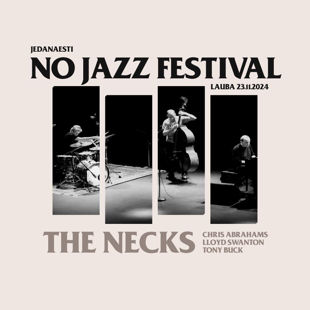 Slika za 11. NO Jazz festival