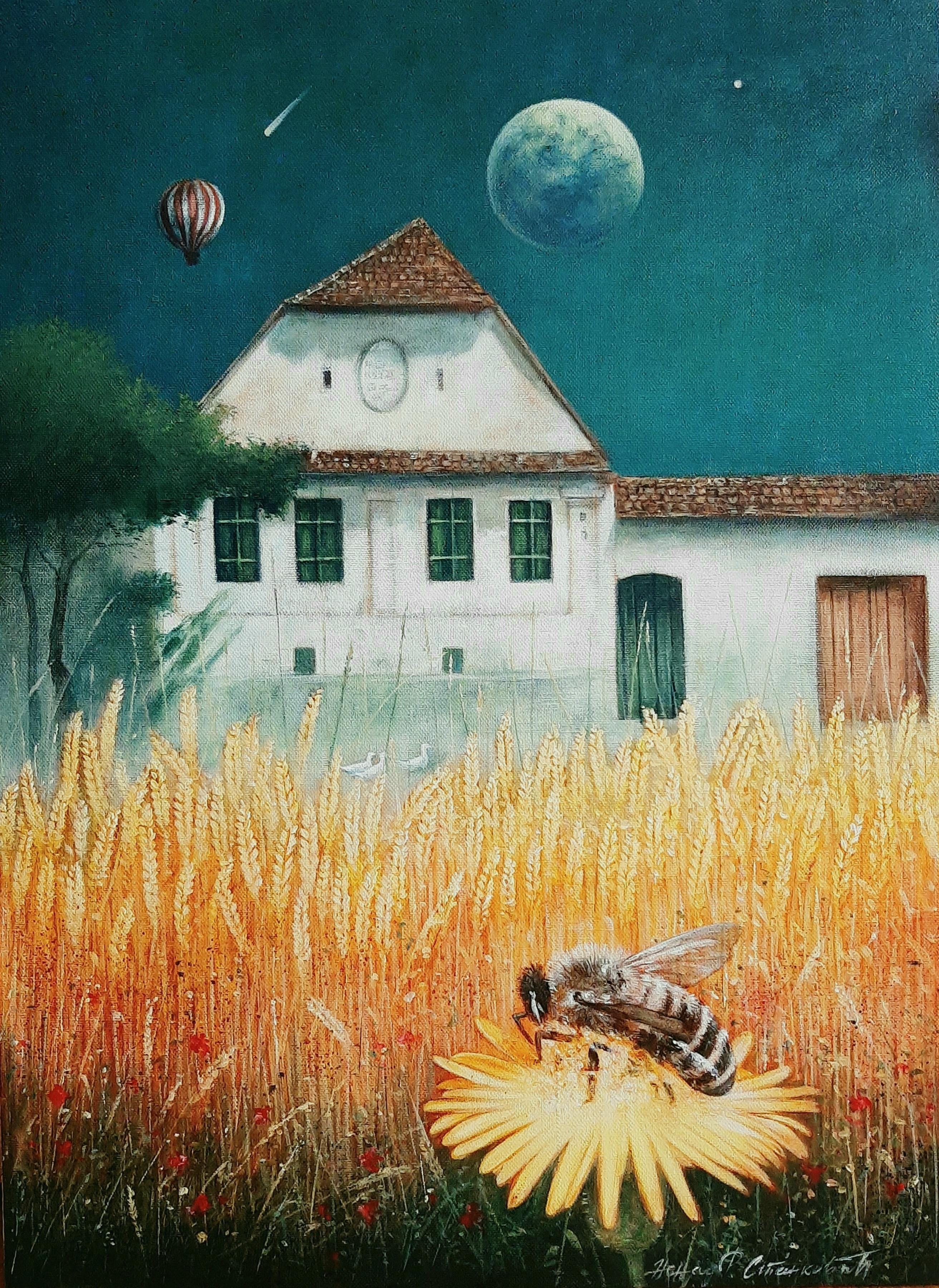 Slika za Poetska fantastika: Nikola Stanković