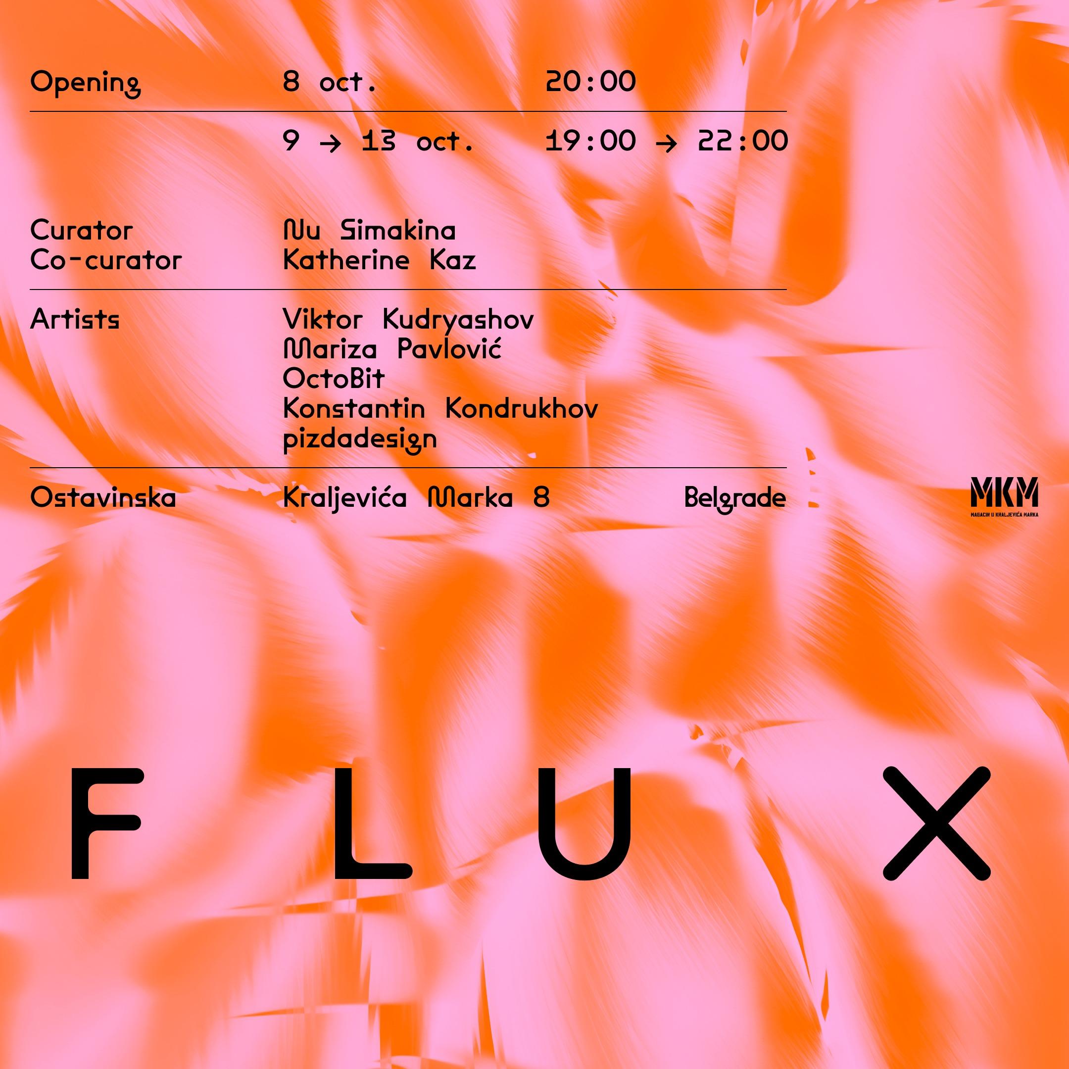 Slika za Changeover festival: Izložba „Flux”