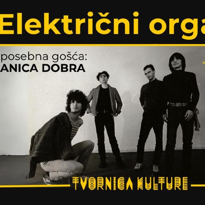 Električni orgazam