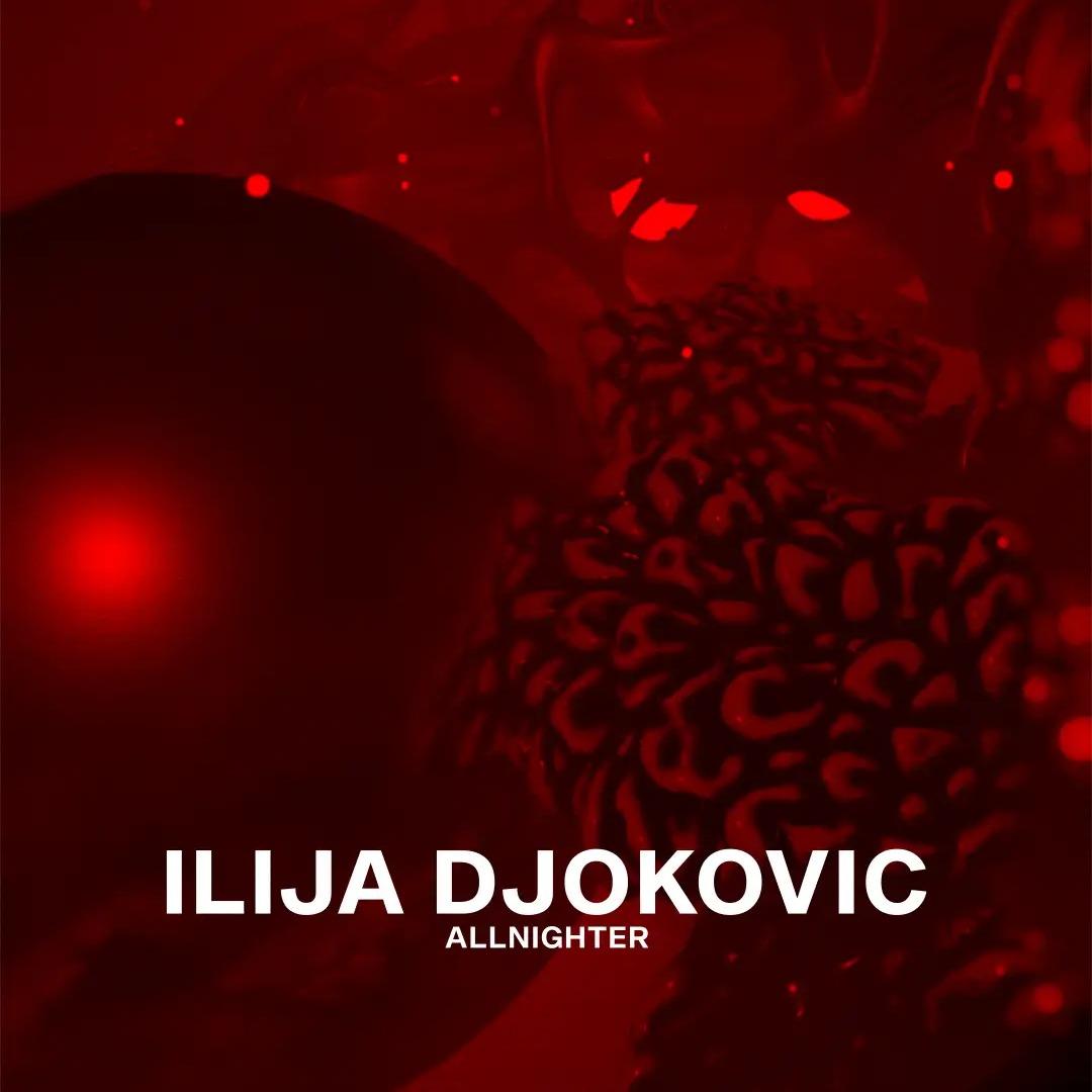 Slika za Ilija Đoković
