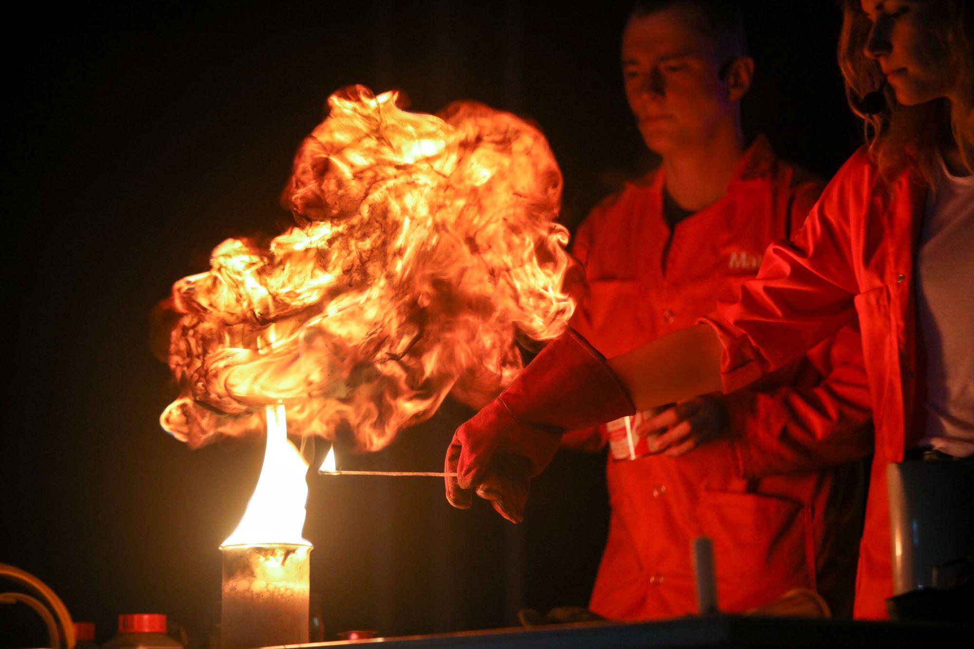Slika za 17. Festival nauke: Evolucija ideje