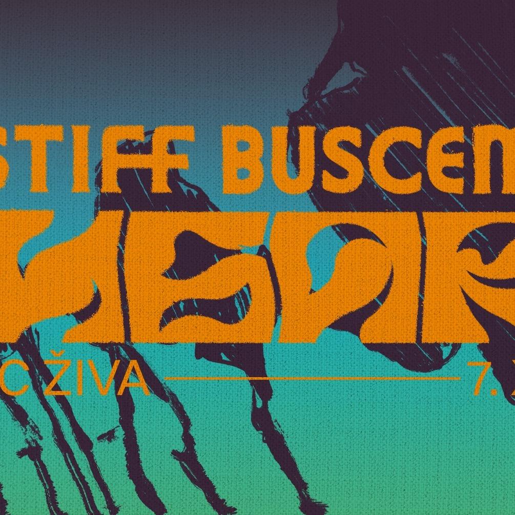 Slika za Ibar, Stiff Buscemi