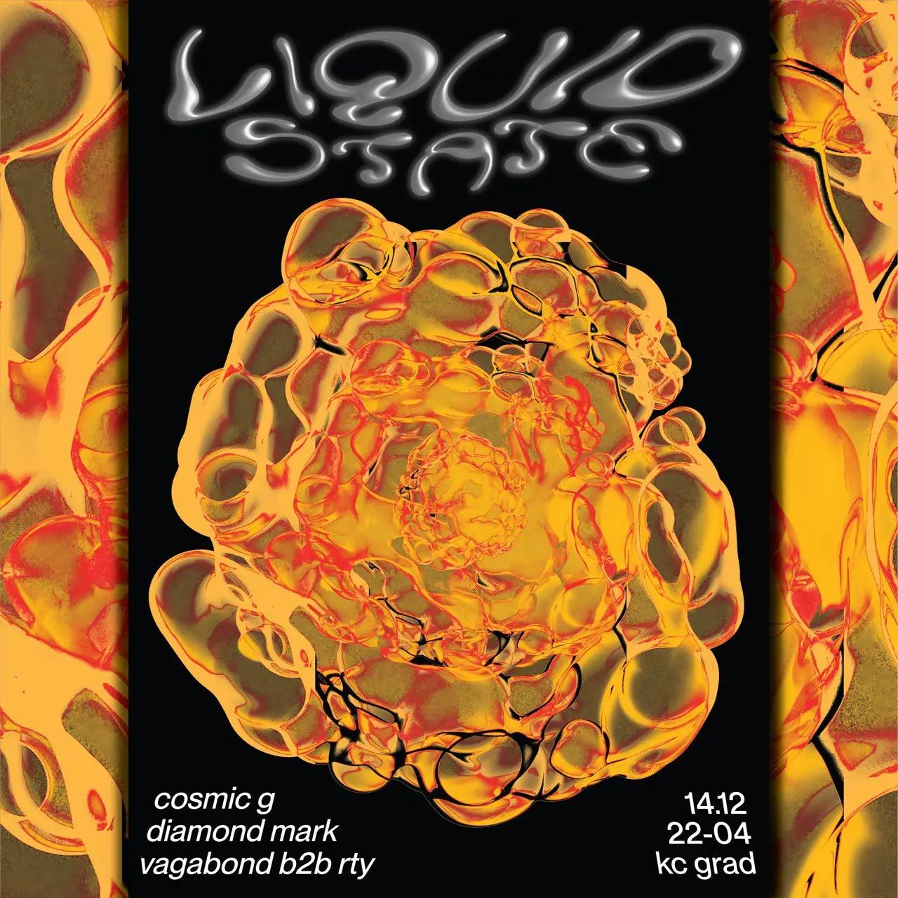 Slika za Liquid State