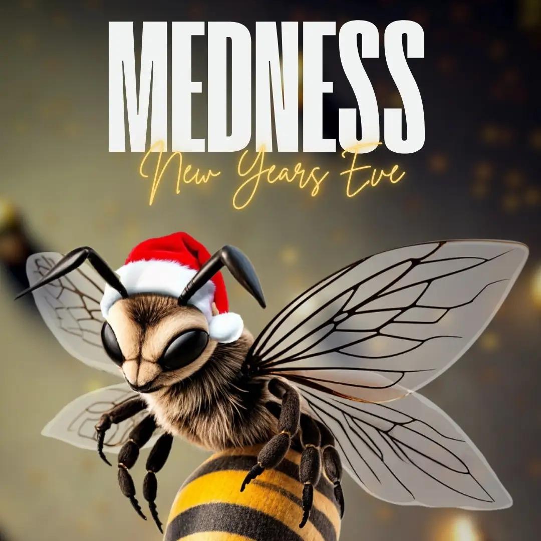 Slika za MEDNESS NYE 2025