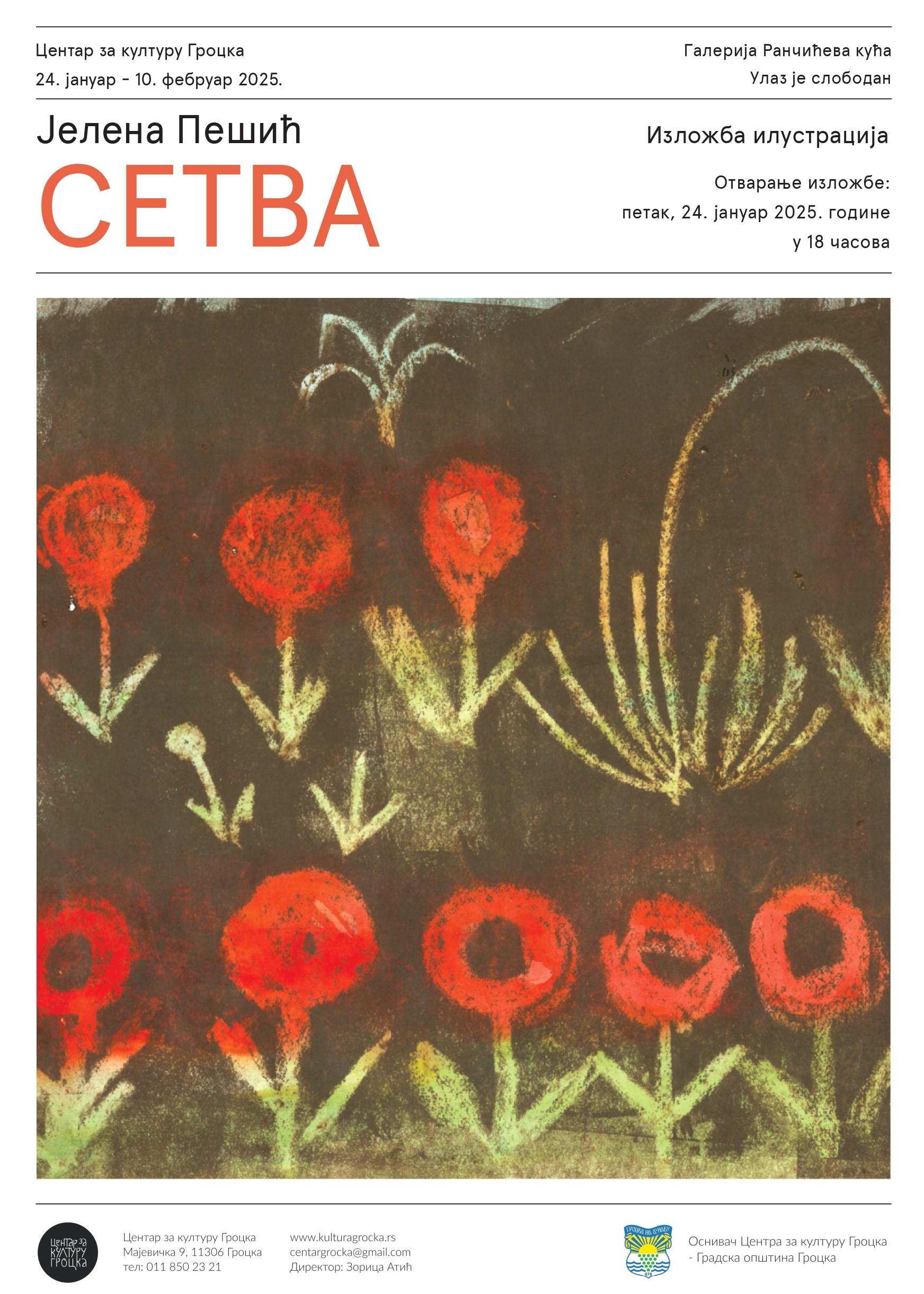 Flajer za Setva: Jelena Pešić