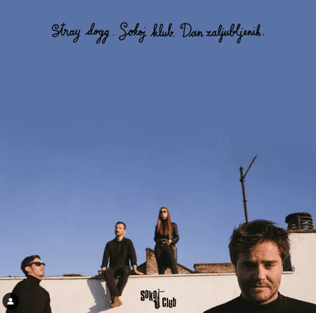 Slika za Stray Dogg