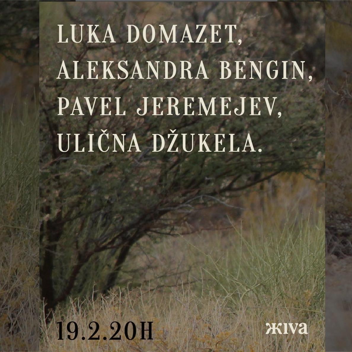 Slika za Ulična Džukela, Jeremejev, Bengin, Domazet