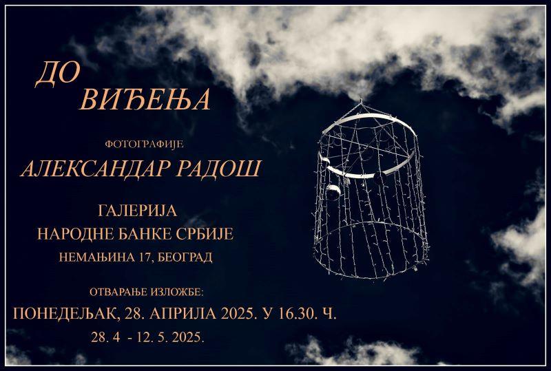 Flajer za Do viđenja: Aleksandar Radoš