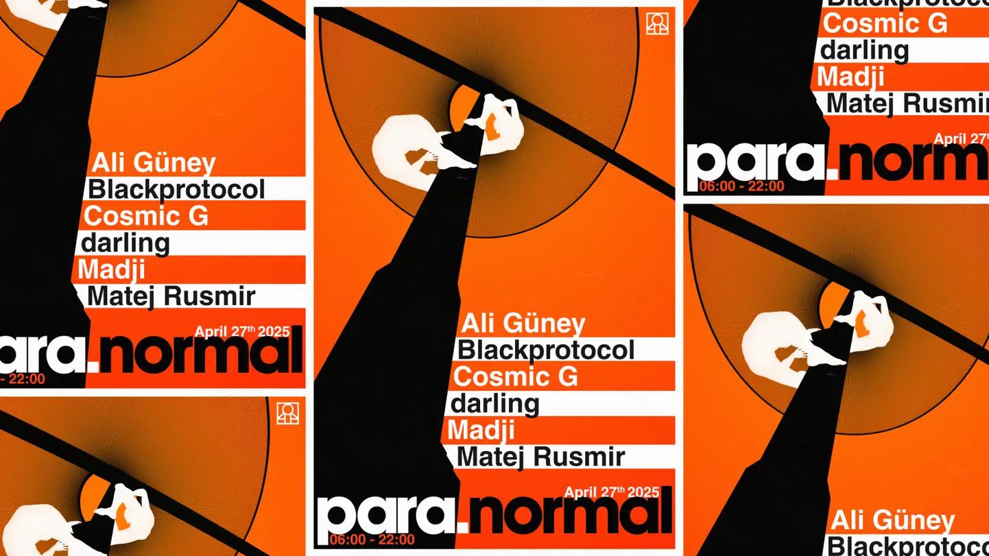 Slika za para.normal #4
