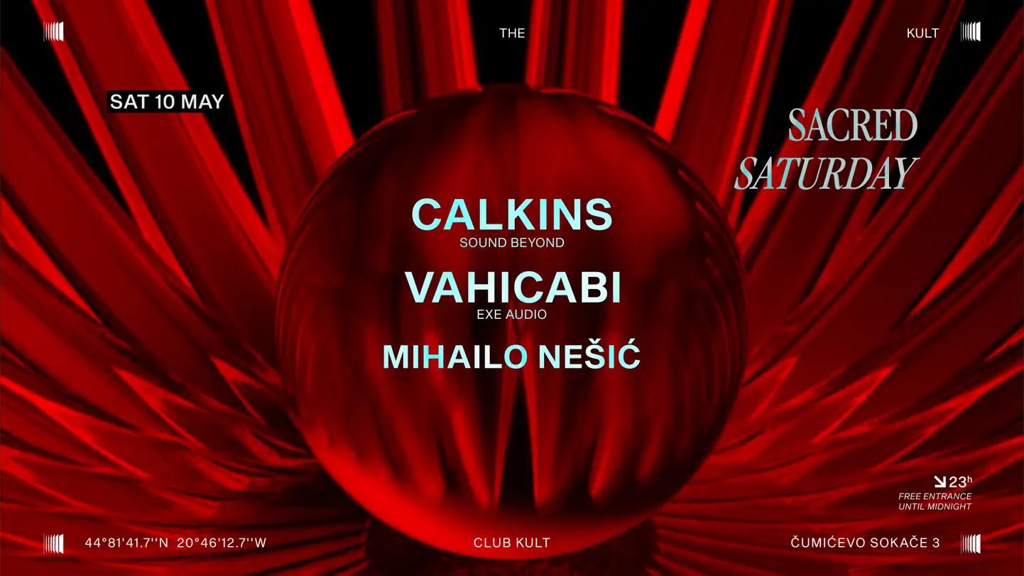 Slika za Calkins & Vahicabi