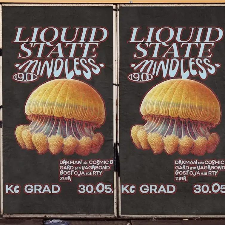 Slika za Liquid State x Mindless