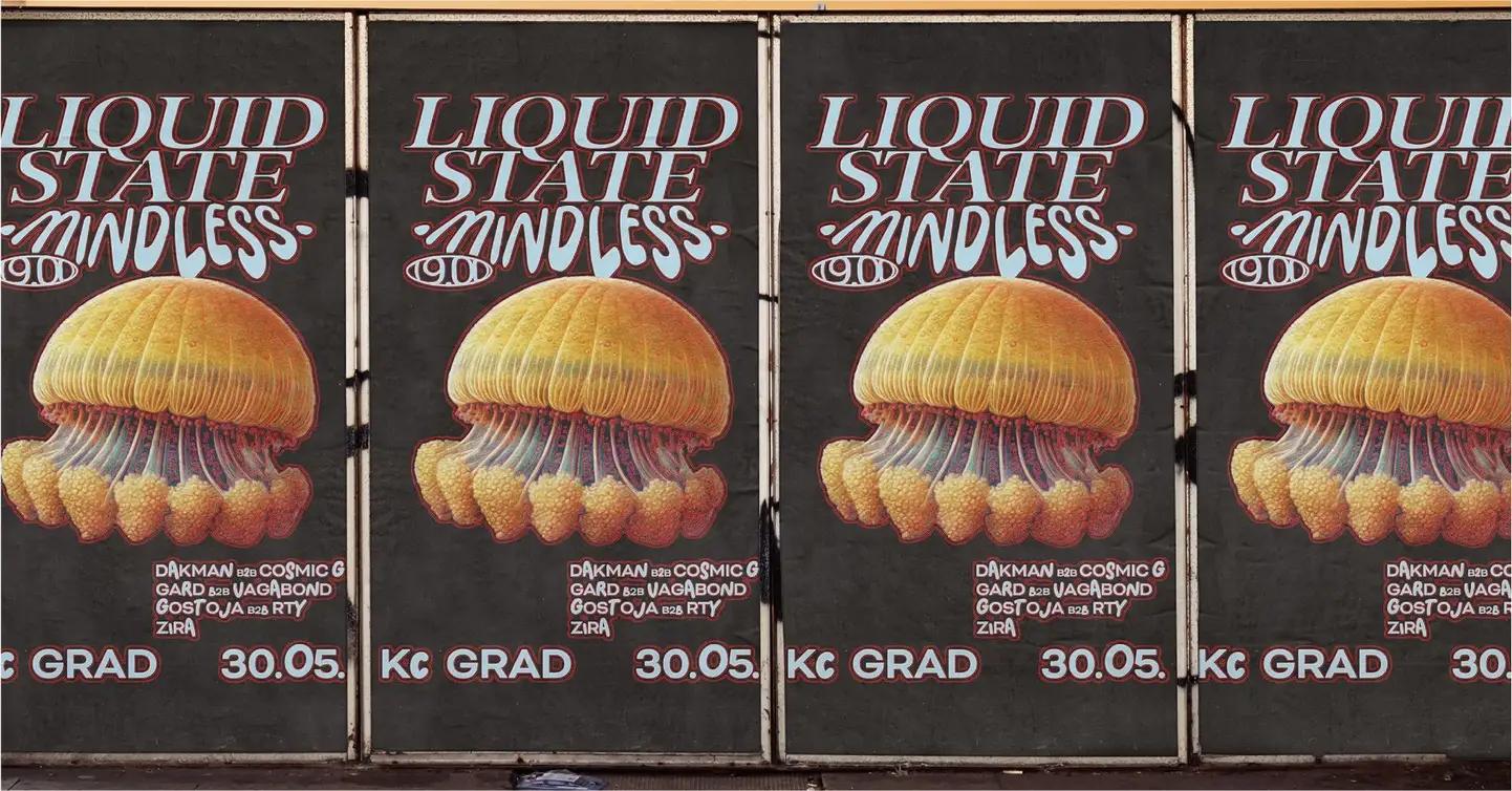 Slika za Liquid State x Mindless