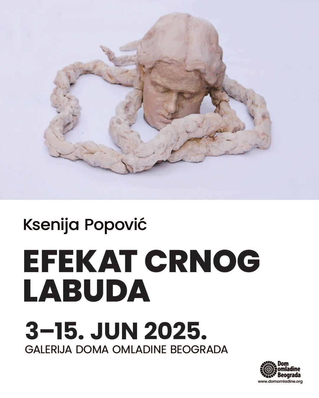 Slika za Efekat crnog labuda: Ksenija Popović
