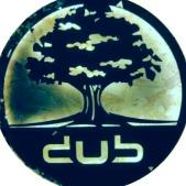 Dub Gastro Pub