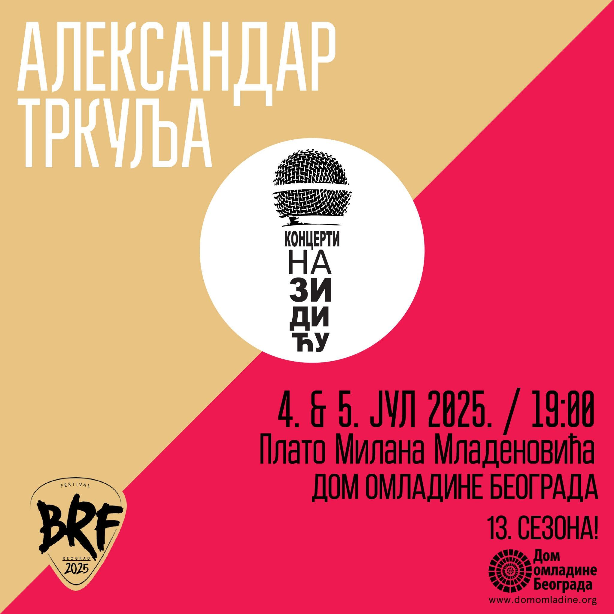 Slika za Koncert na Zidiću: Aleksandar Trkulja