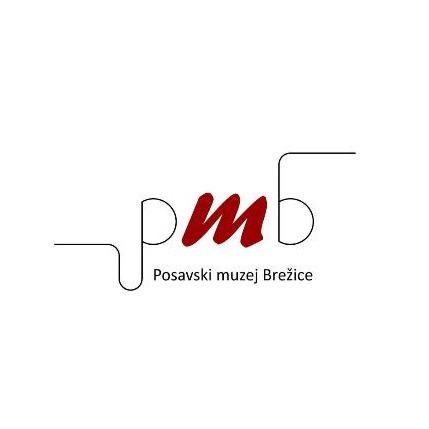 Posavski muzej