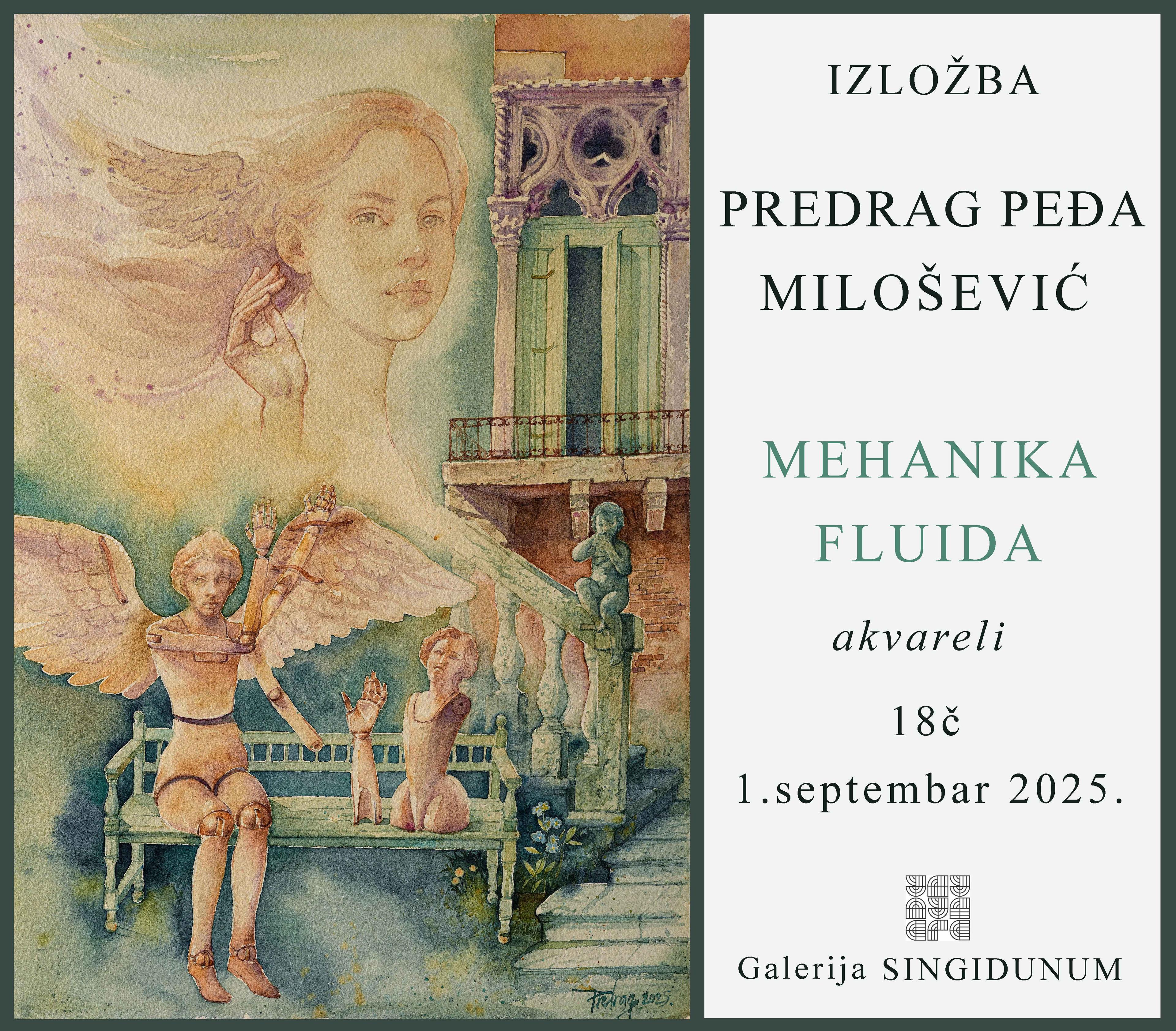Flajer za Mehanika fluida: Predrag Peđa Milošević