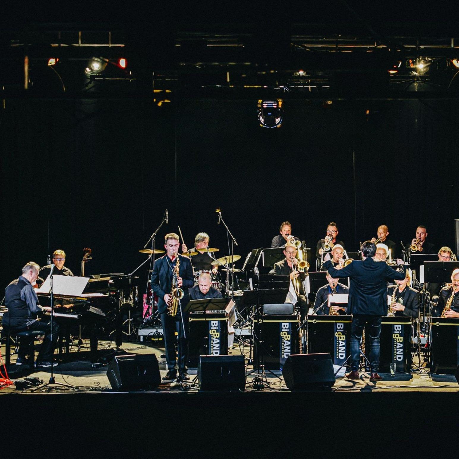 Slika za Novosadski džez festival
