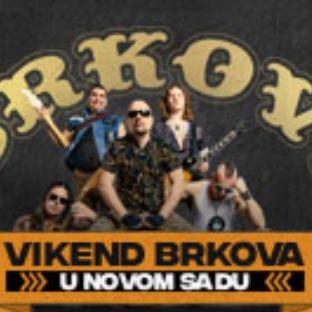 Brkovi