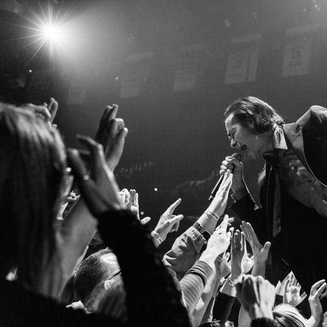 Slika za Nick Cave & The Bad Seeds (AUS)