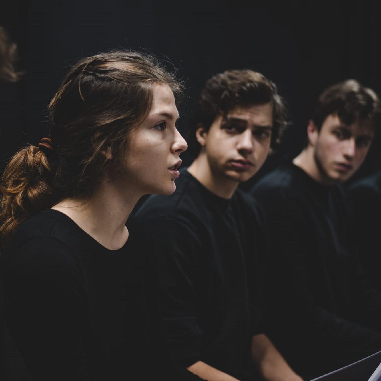 Slika za Pozorišni festival "Upad