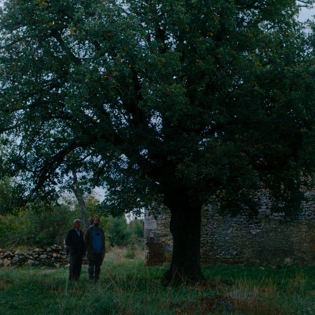 Slika za 31. Festival autorskog filma