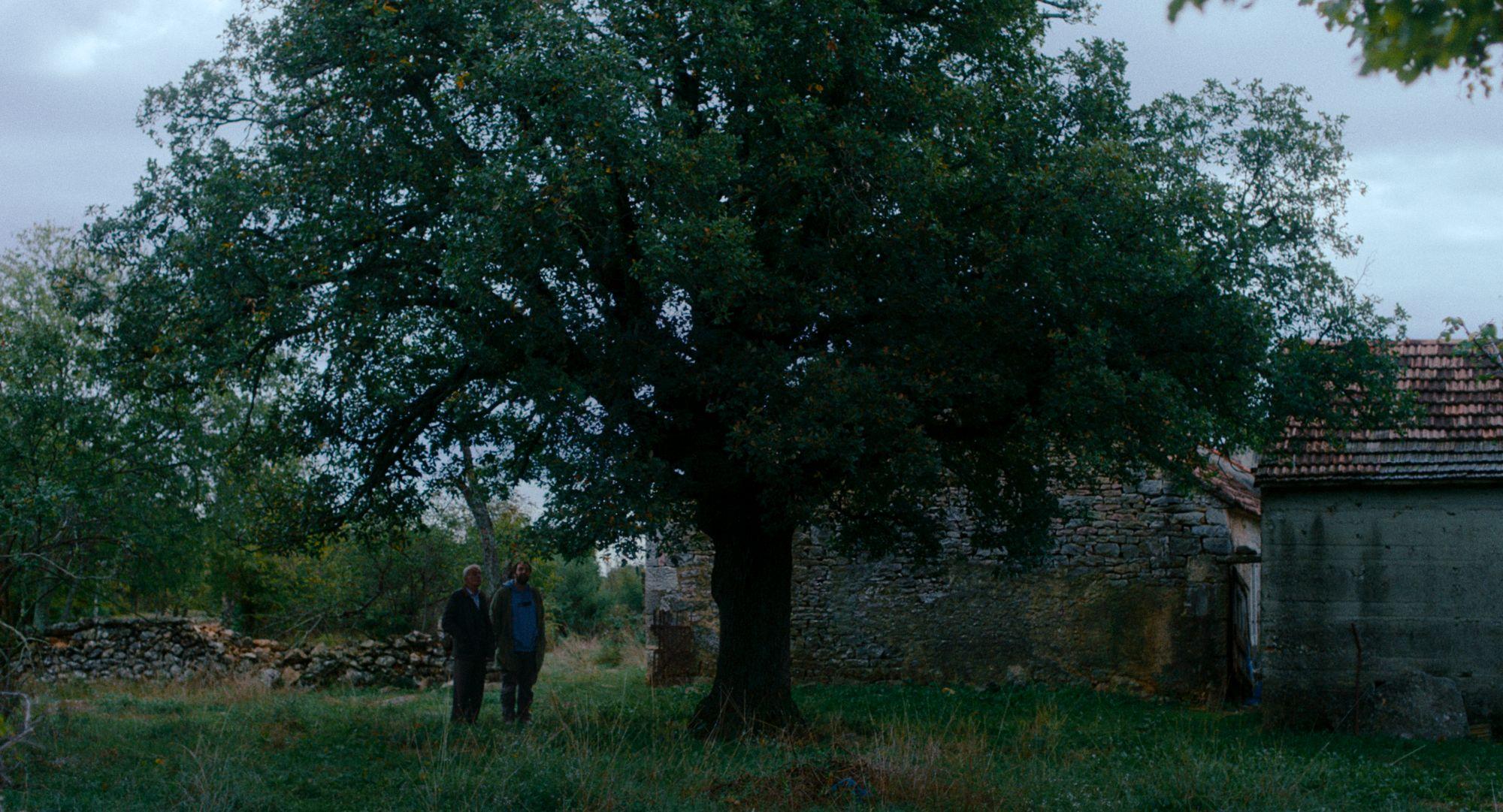 Slika za 31. Festival autorskog filma