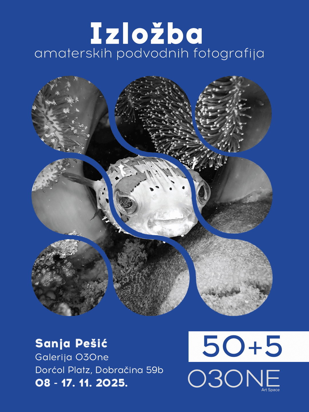 Flajer za 50 + 5: Sanja Pešić