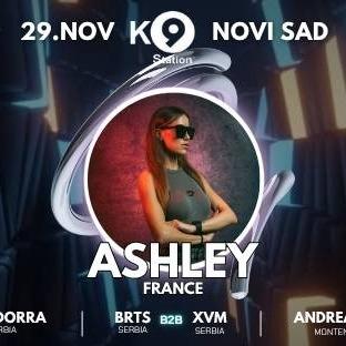 Slika za Pulse Factory: Ashley (FR)