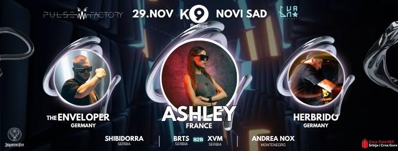 Slika za Pulse Factory: Ashley (FR)