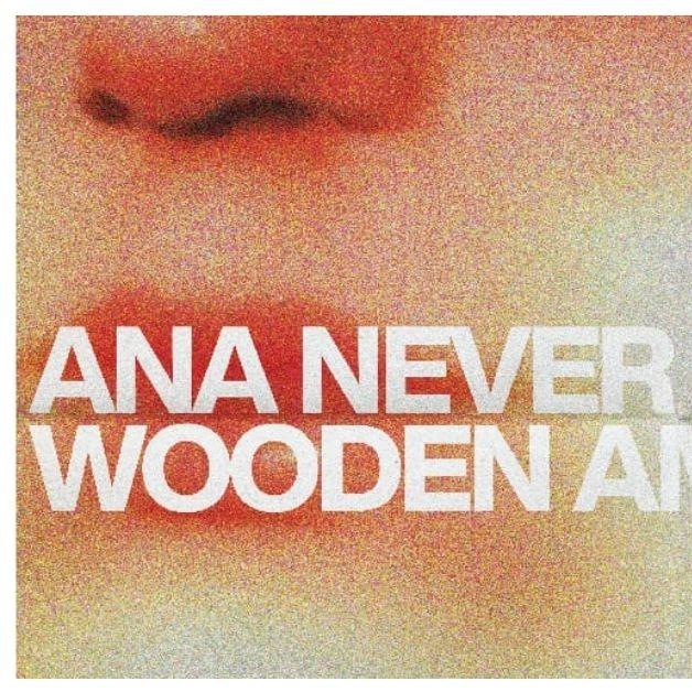 Slika za Wooden Ambulance i Ana Never