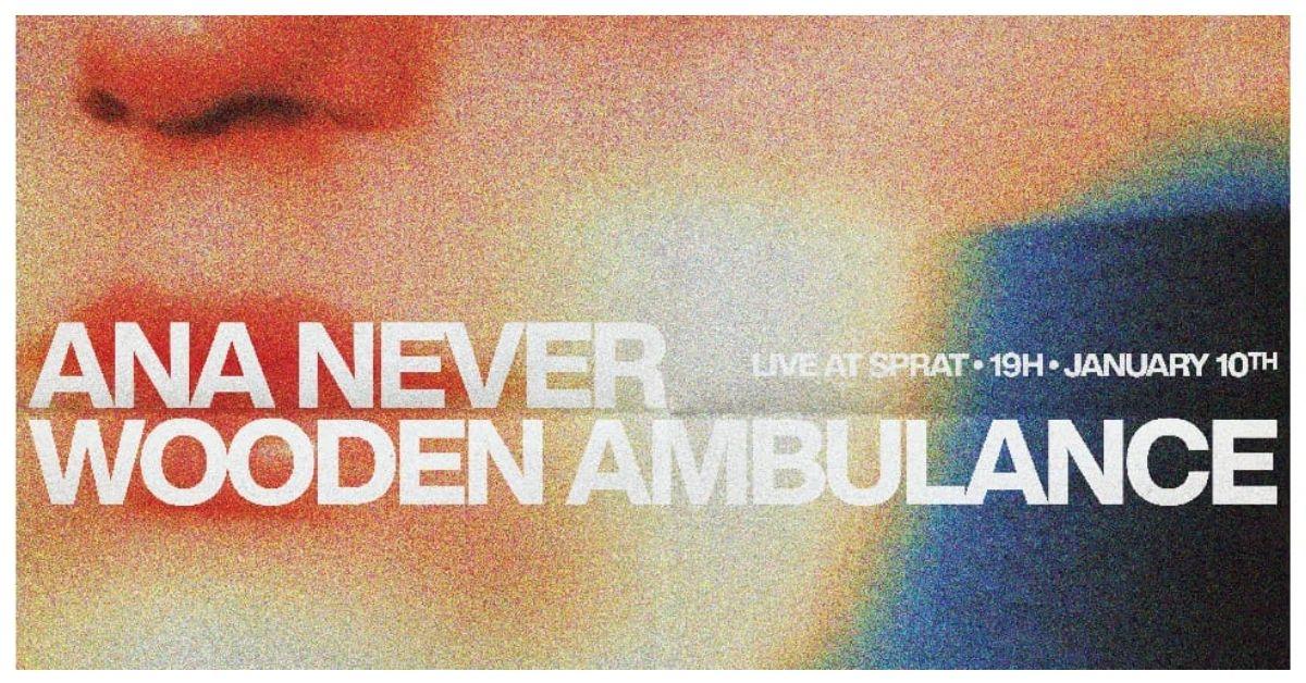 Slika za Wooden Ambulance i Ana Never