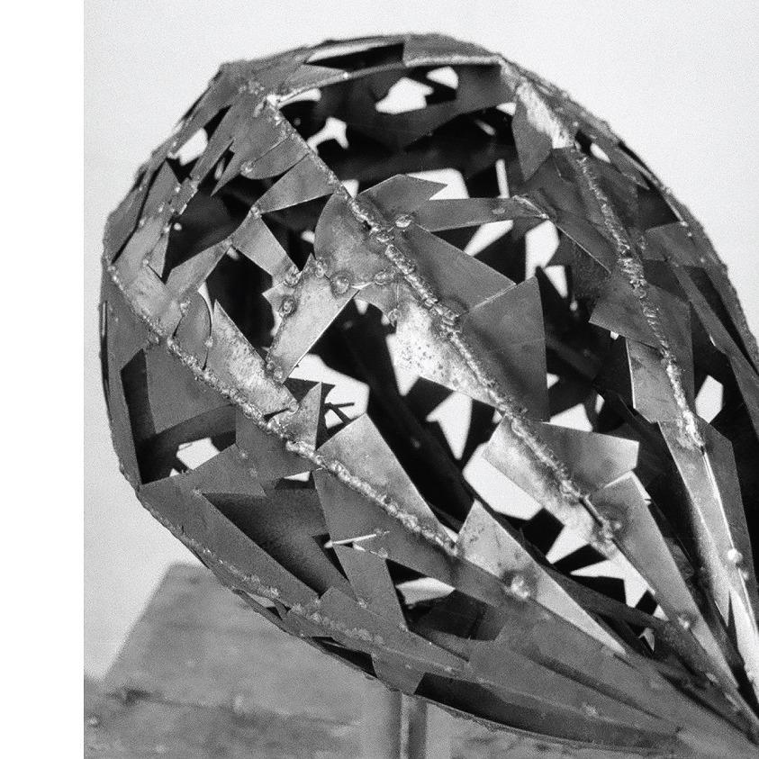 Slika za Cepelini: Miodrag Samardžić