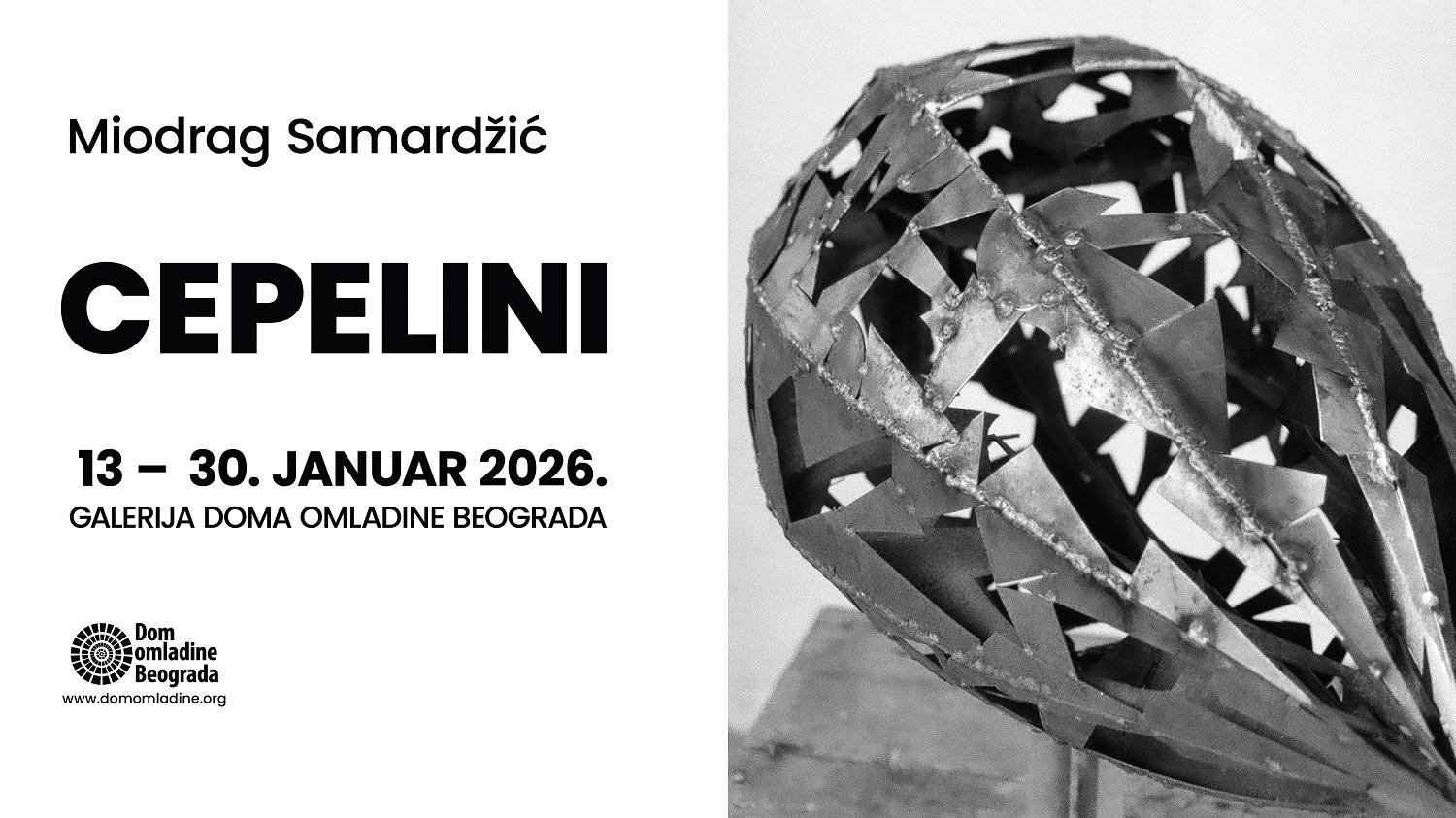 Slika za Cepelini: Miodrag Samardžić