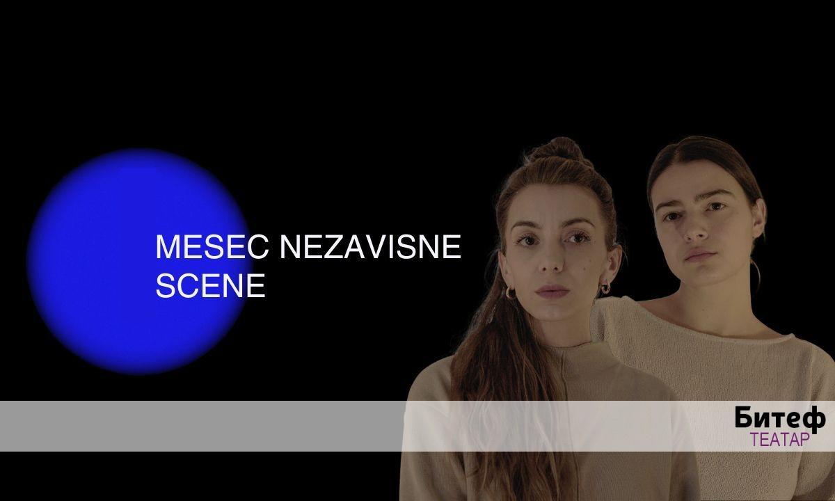 Slika za Kronika nestajanja