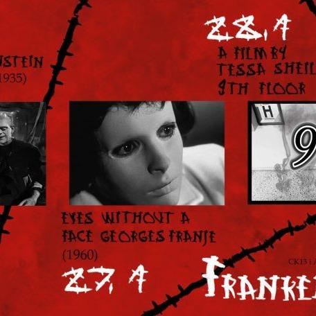 Slika za Art bioskop CK13: Ciklus filmova “FRANKENSTEIN”