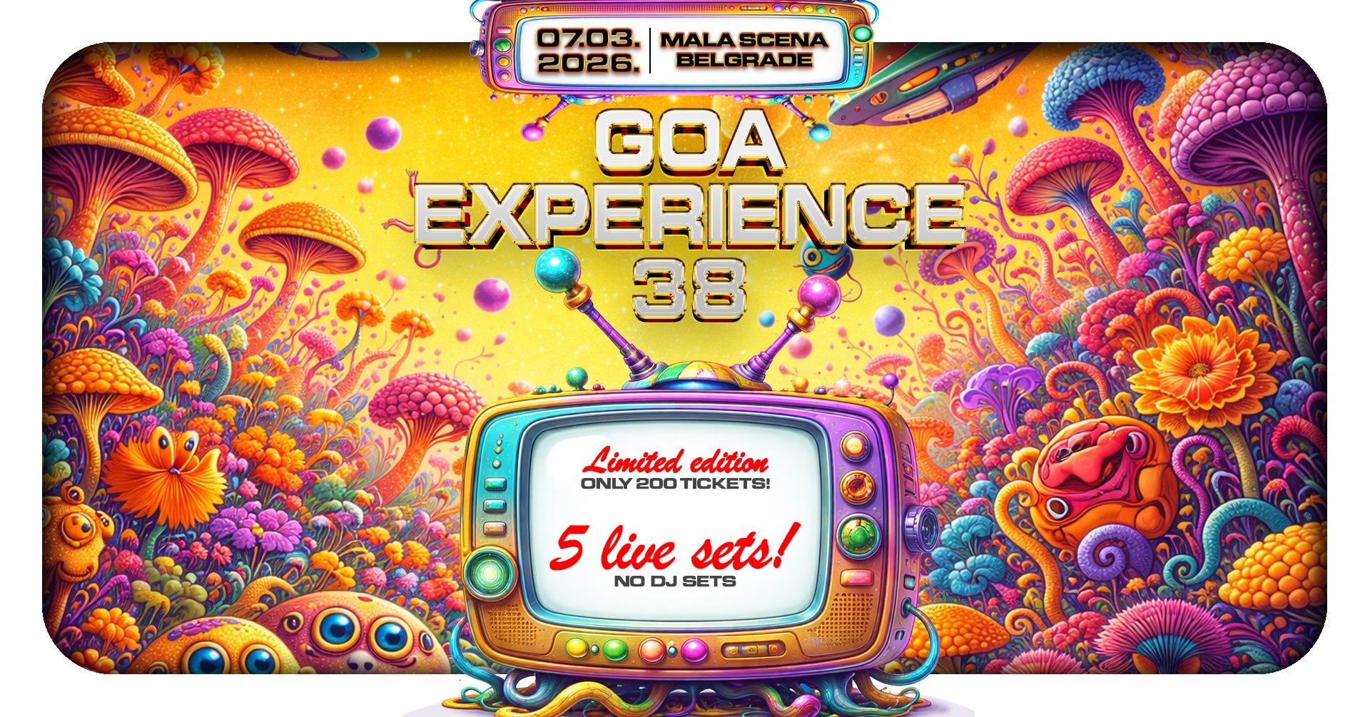 Slika za Goa Experience 38