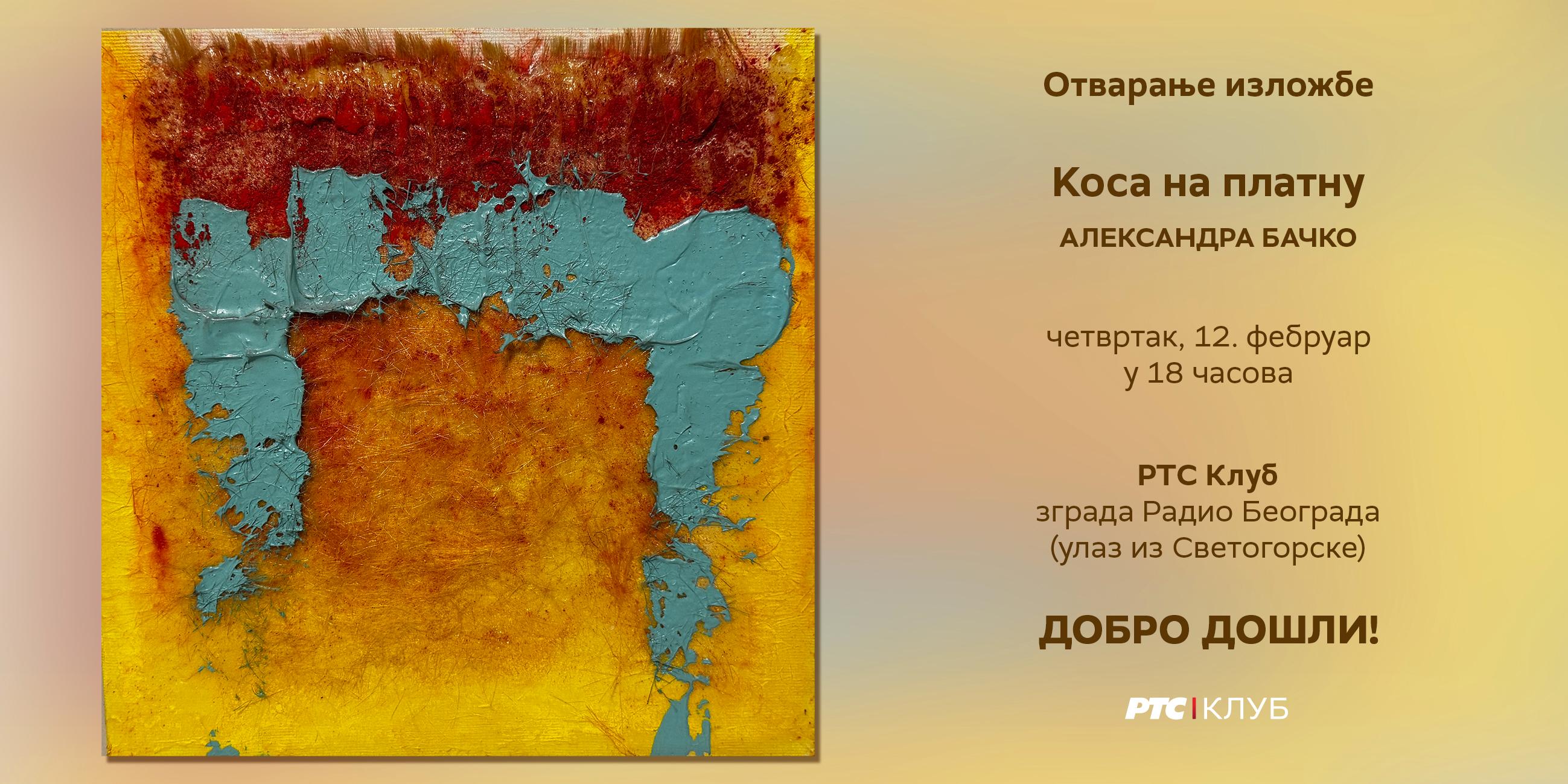 Slika za Kosa na platnu: Aleksandra Bačko