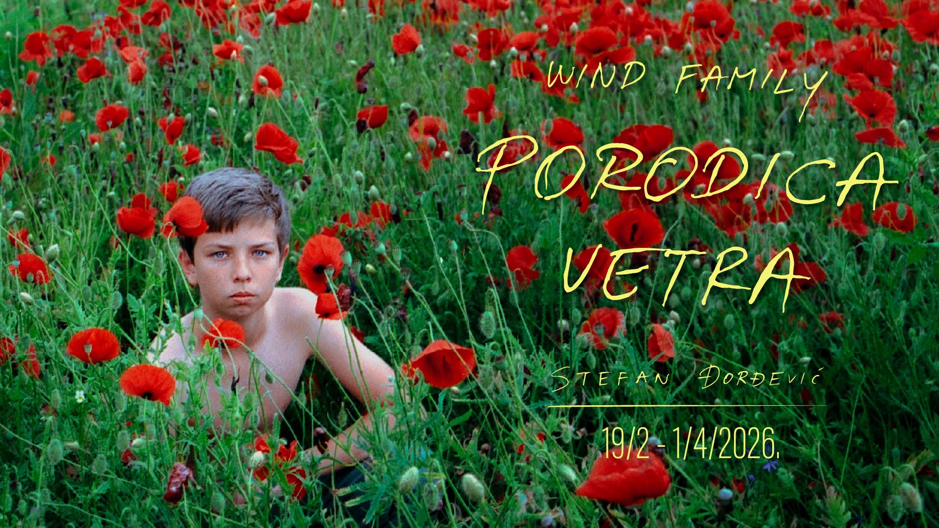 Slika za Porodica vetra: Stefan Đorđević