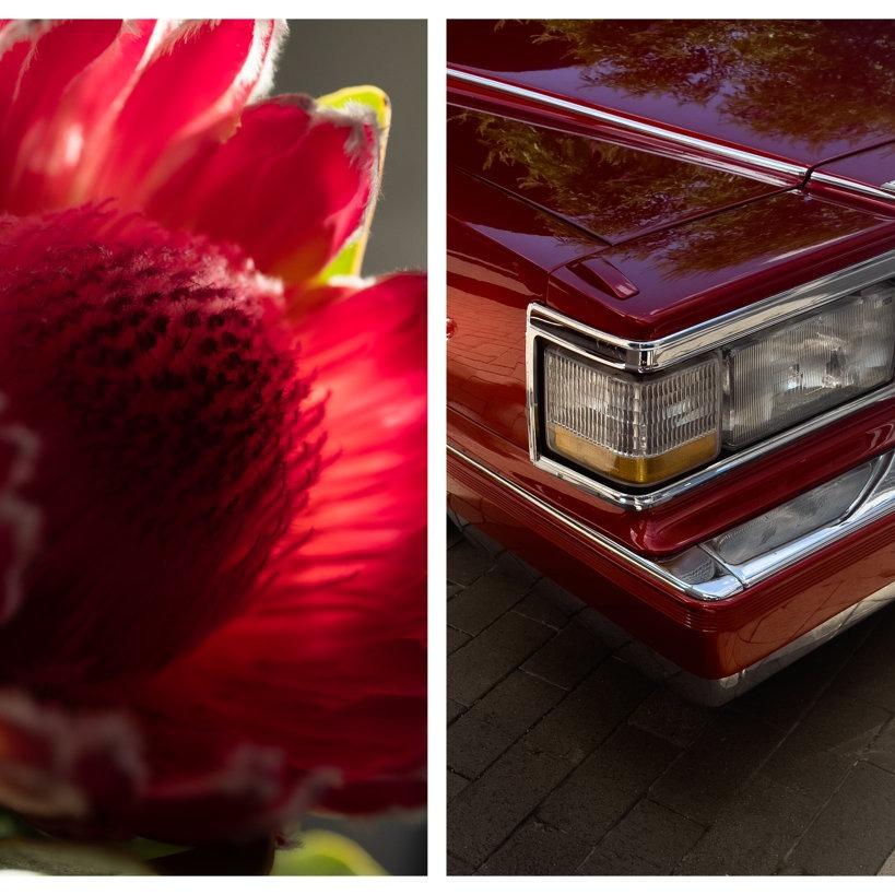 No Sharp Edges: Jovana Simovski