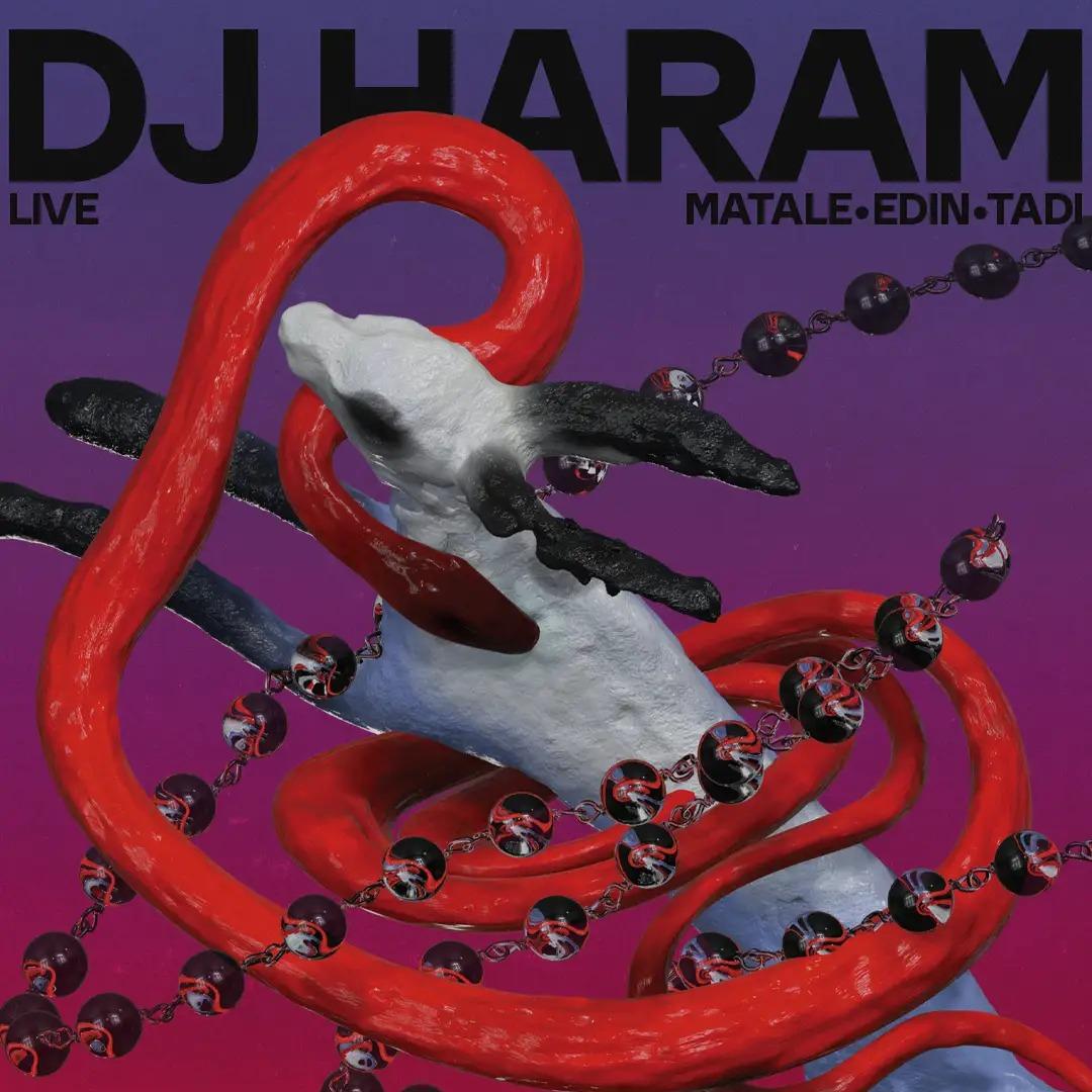 Slika za Dj Haram (USA), Matale, tadi, Edin (Oma)