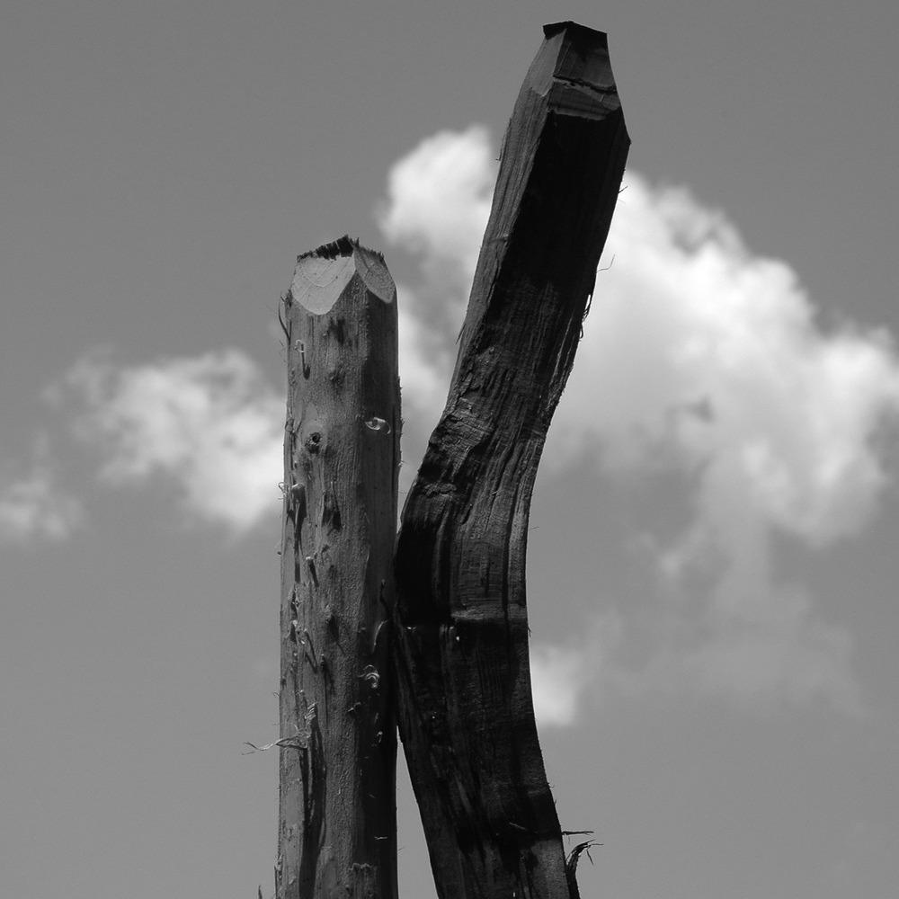 Slika za Šapat kolja: Rajko Karišić