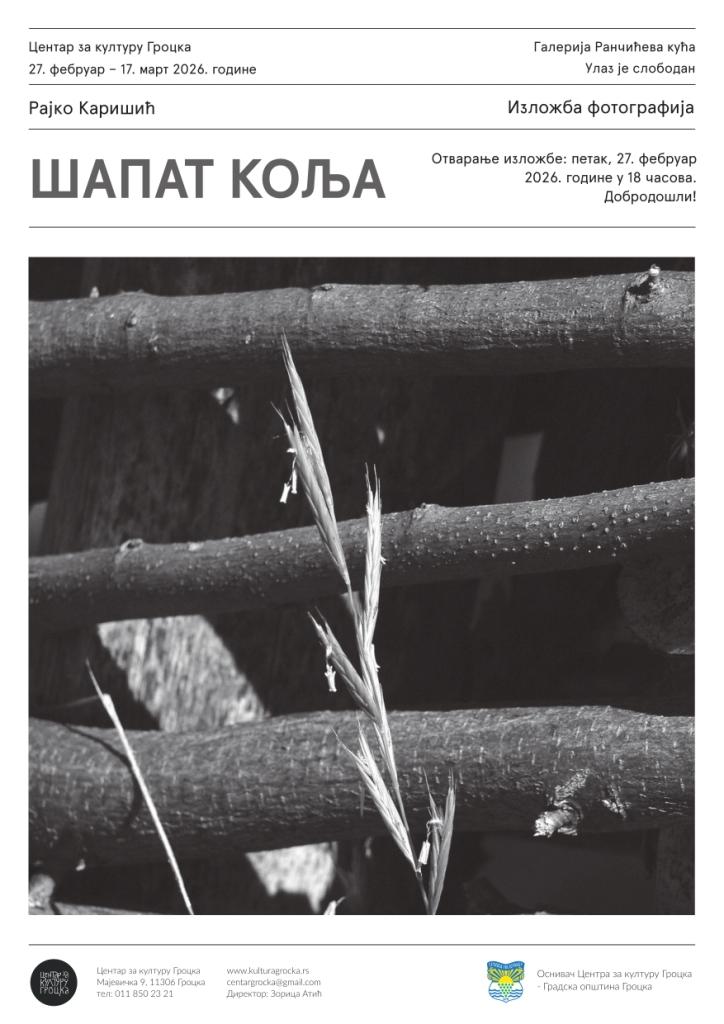 Flajer za Šapat kolja: Rajko Karišić