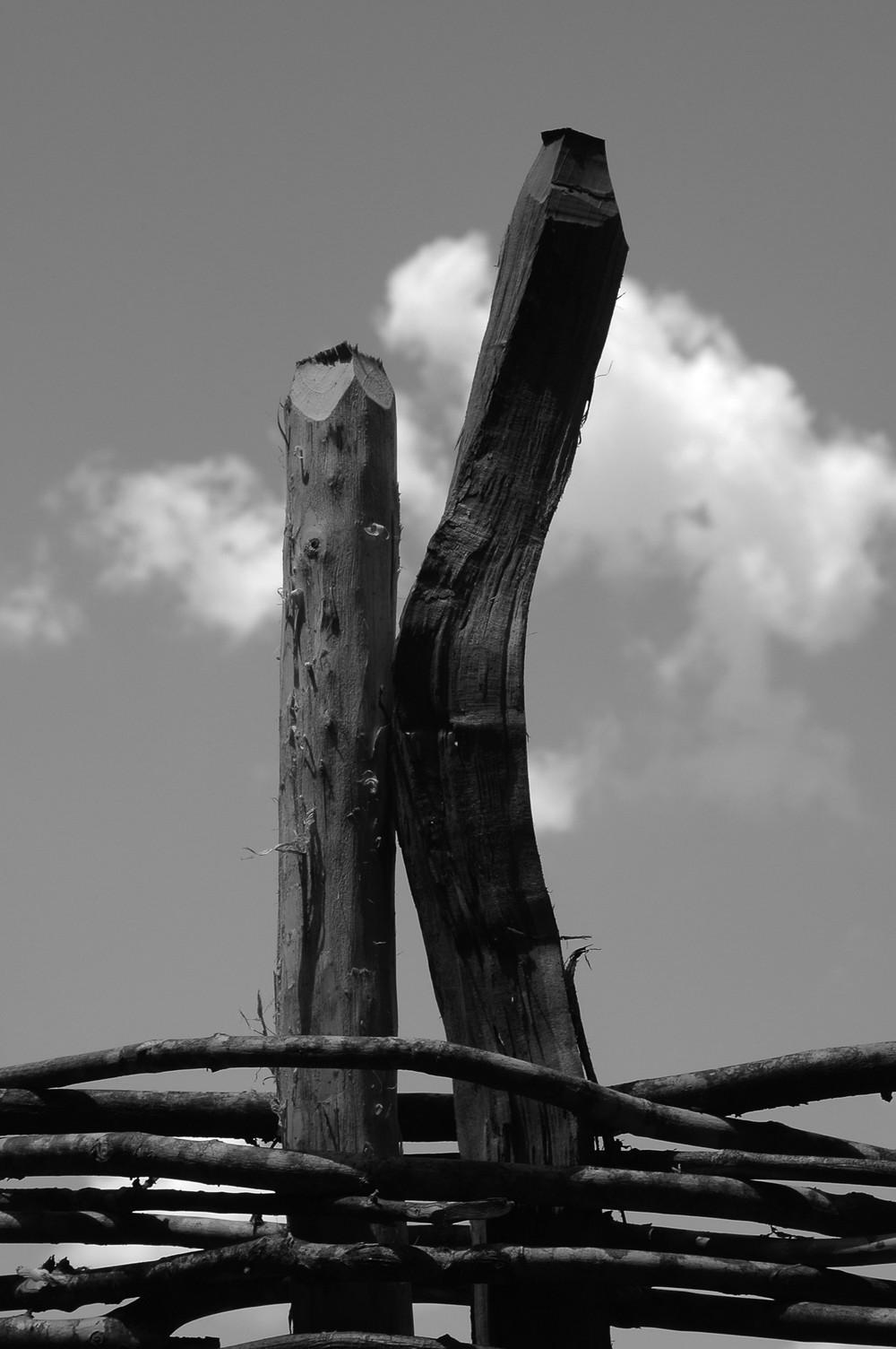 Slika za Šapat kolja: Rajko Karišić