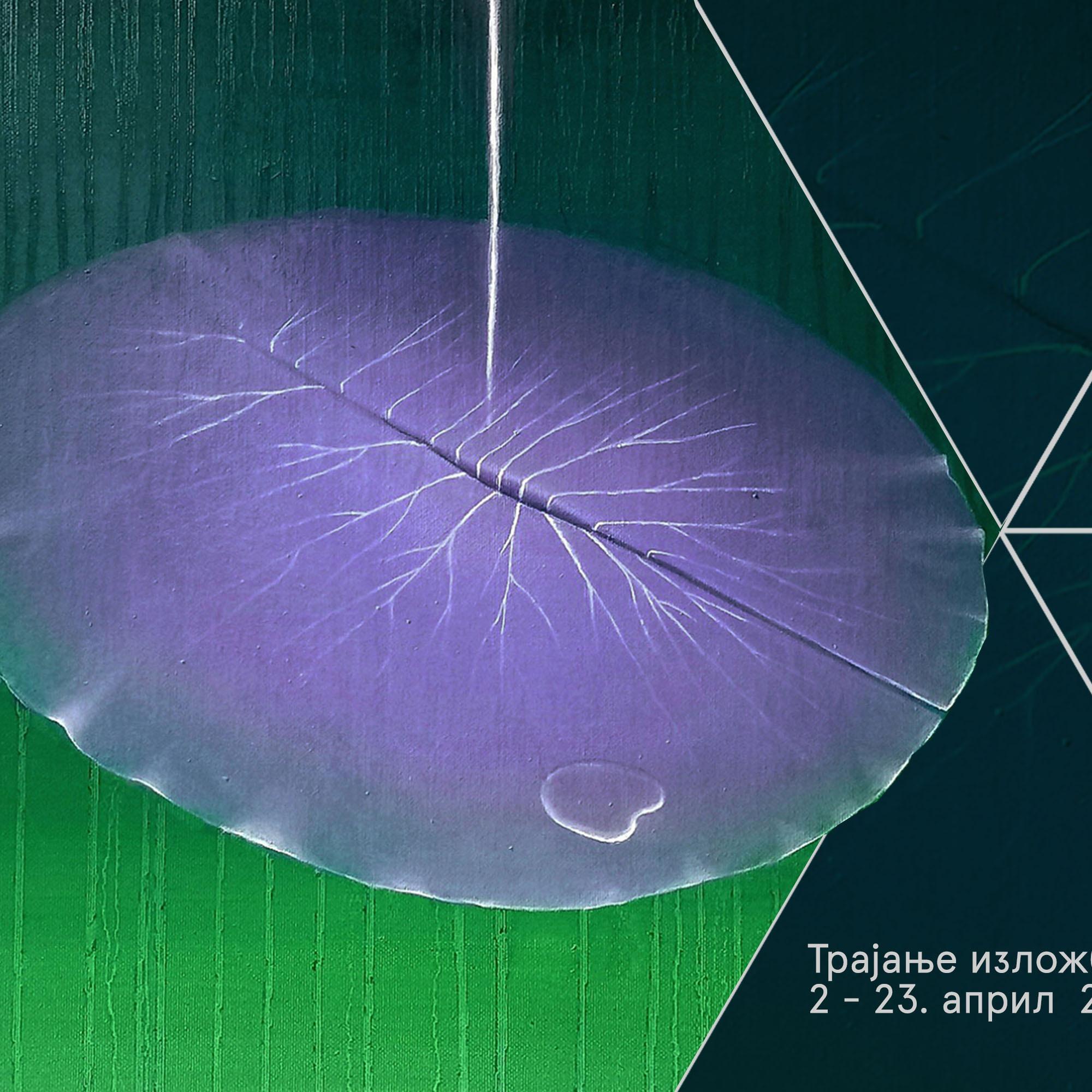 Slika za Što se bore misli moje: Jana Stojanović